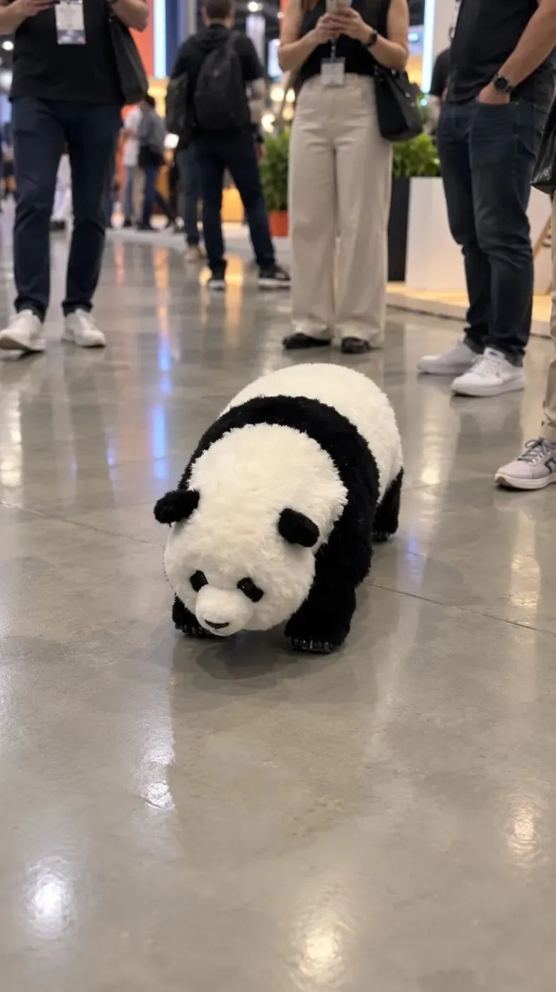 Panda no corredor, todo mundo agachado para filmar