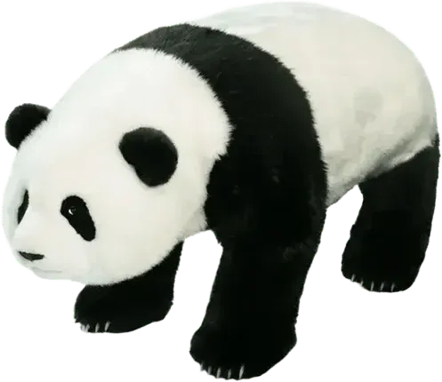 Panda Robô